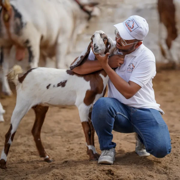 Waqf Qurbani (Goat)