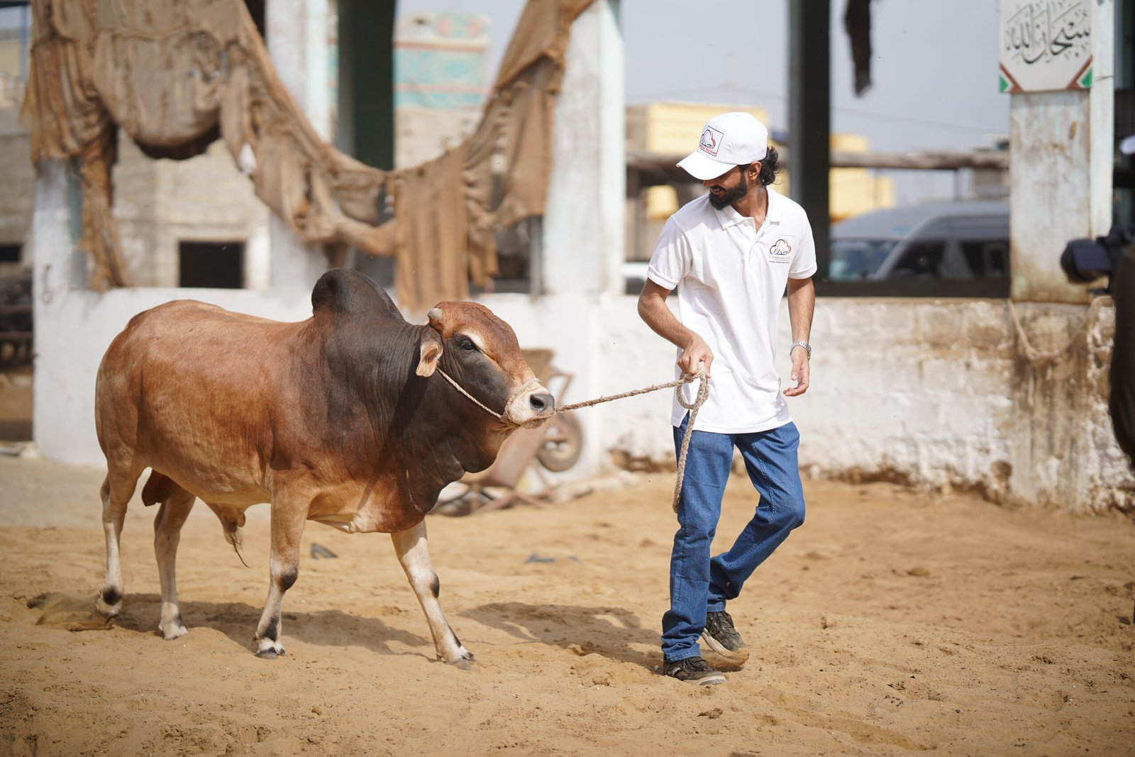 Al-Midrar-Quarbani-Images-1-5-scaled.jpg